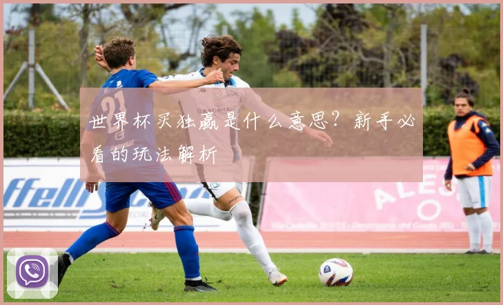 世界杯买独赢是什么意思？新手必看的玩法解析
