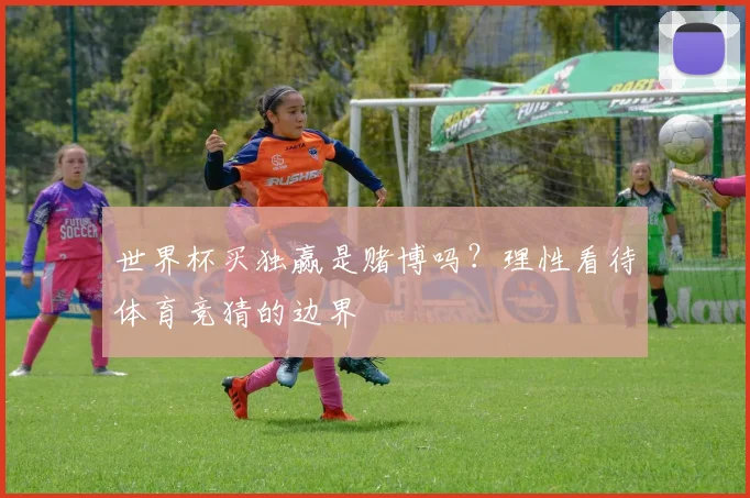 世界杯买独赢是赌博吗?理性看待体育竞猜的边界