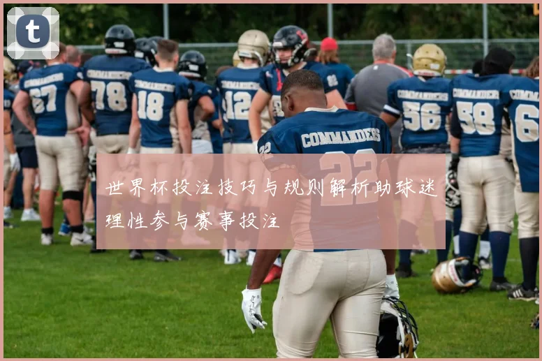 世界杯投注技巧与规则解析助球迷理性参与赛事投注