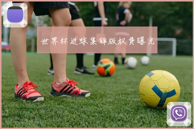 世界杯进球集锦版权费曝光