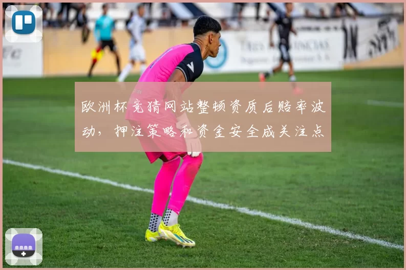 欧洲杯竞猜网站整顿资质后赔率波动，押注策略和资金安全成关注点