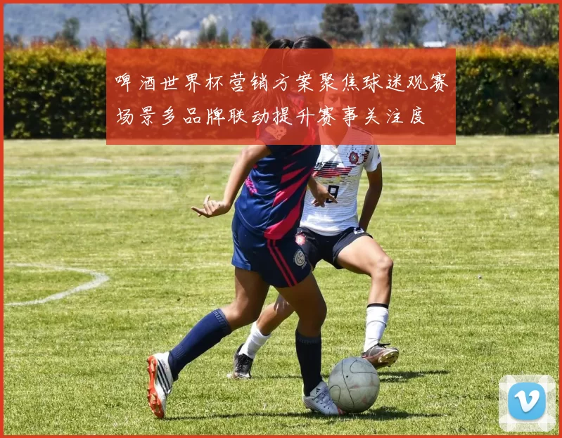 啤酒世界杯营销方案聚焦球迷观赛场景多品牌联动提升赛事关注度