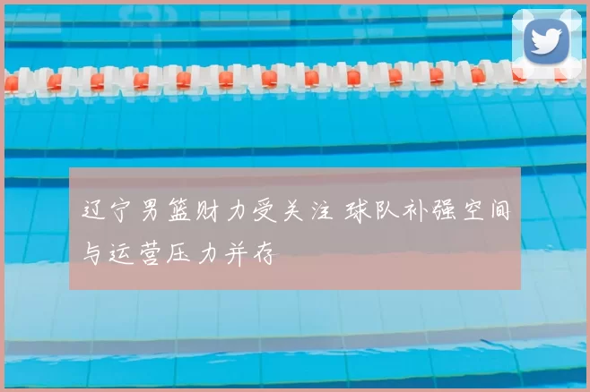 辽宁男篮财力受关注 球队补强空间与运营压力并存