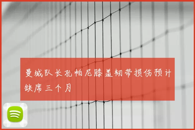 曼城队长孔帕尼膝盖韧带损伤预计缺席三个月