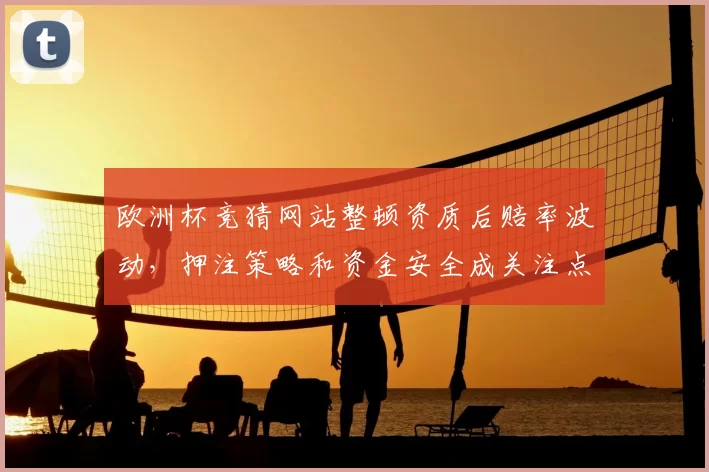 欧洲杯竞猜网站整顿资质后赔率波动，押注策略和资金安全成关注点