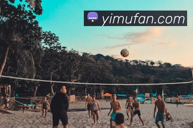 新爱体育 - 官方网站 - 在线娱乐服务平台品牌故事