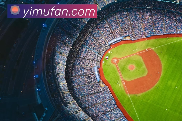 新爱体育 - 官方网站 - 在线娱乐服务平台服务体系